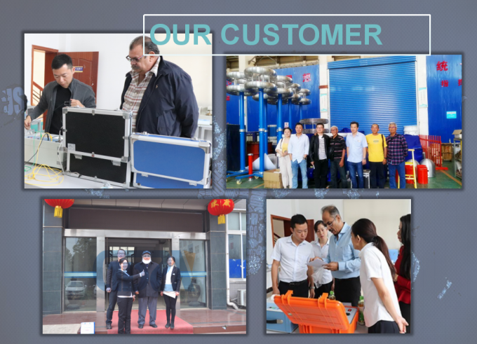 Air Express Hot Sell Easy Operation High Voltage Digital Megohm Meter 12